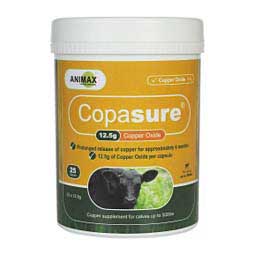 Copasure 12.5 gm Copper Oxide Bolus for Calves Animax